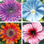 Flora